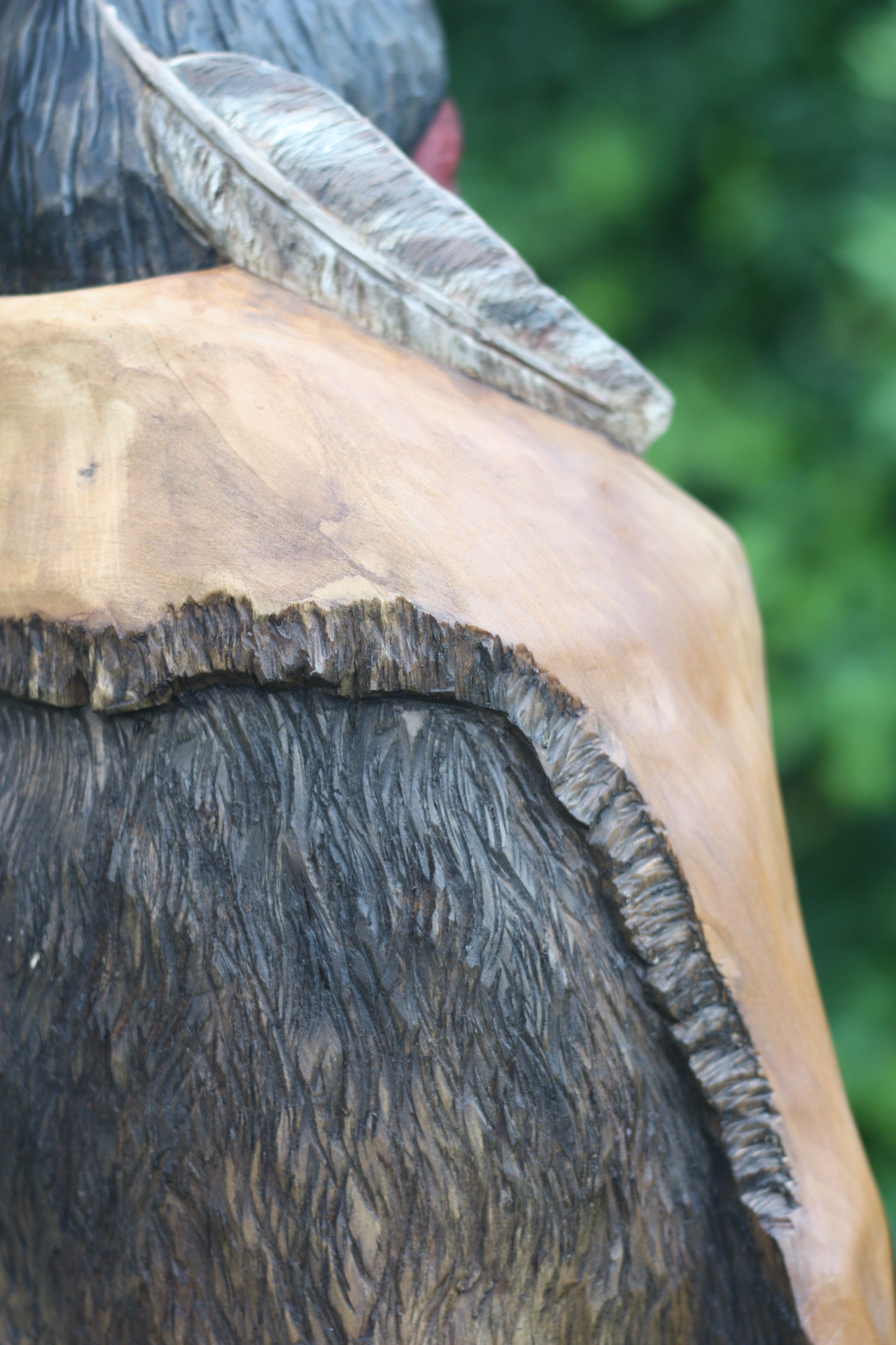 Nootka Warrior
